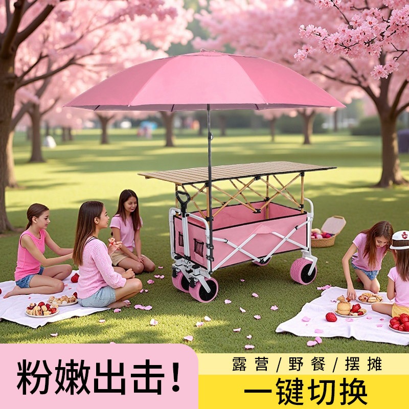 Pink Camper Folding Stall Trol - Car Accessories You Must Have ulasan dan harga